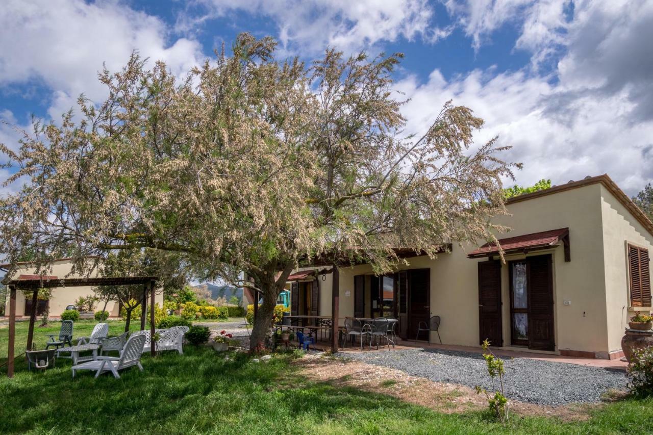 Agriturismo Il Canterino Guardistallo Exterior photo